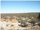 ‘Wonganoo Station’, Leonora WA 6438