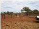 ‘Wonganoo Station’, Leonora WA 6438