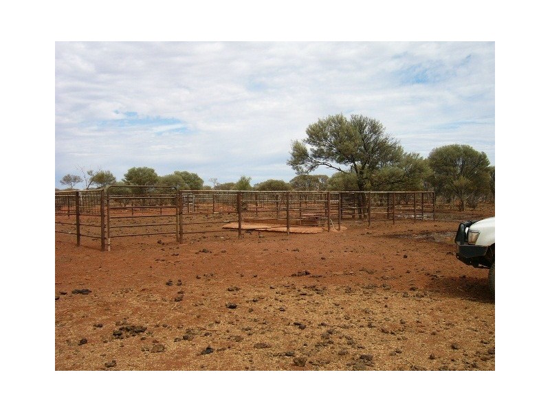 ‘Wonganoo Station’, Leonora WA 6438