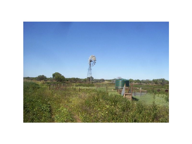 ‘Nerren Nerren’ Station Lot 369 North West Coastal Hwy, Meadow WA 6532