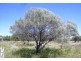 ‘Nerren Nerren’ and ‘Meadow’ Stations, Shark Bay WA 6537