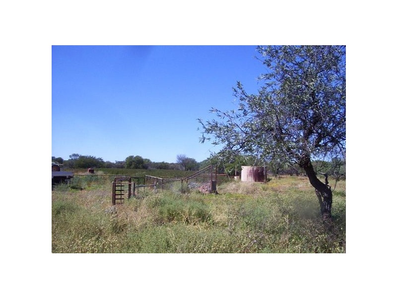 ‘Nerren Nerren’ and ‘Meadow’ Stations, Shark Bay WA 6537