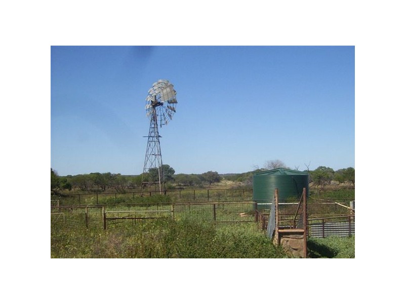‘Nerren Nerren’ and ‘Meadow’ Stations, Shark Bay WA 6537