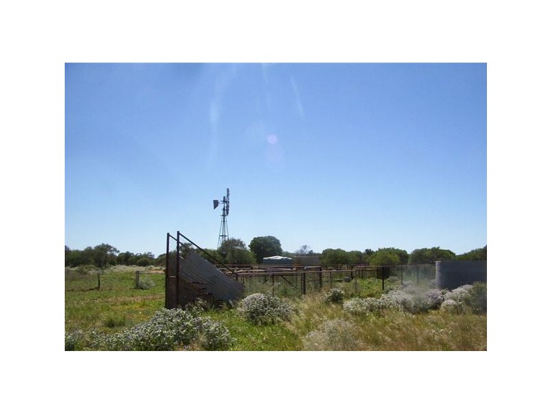 ‘Nerren Nerren’ and ‘Meadow’ Stations, Shark Bay WA 6537