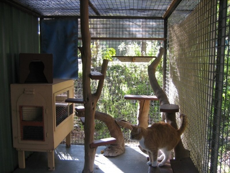 5 Feast Place, Leschenault WA 6233