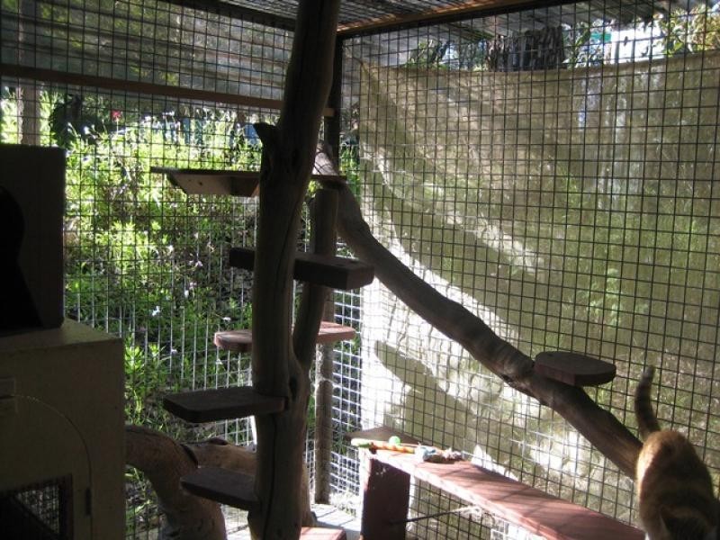 5 Feast Place, Leschenault WA 6233