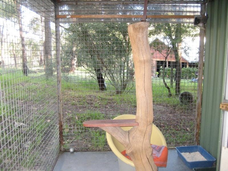 5 Feast Place, Leschenault WA 6233