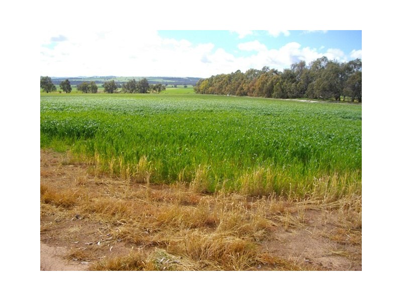 ‘Broadview Farm’ Smarts Road, Brookton WA 6306