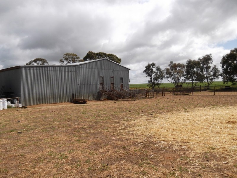 Part ‘Springfield’, Gabbin WA 6476