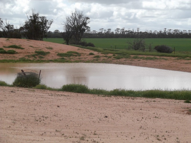 Part ‘Springfield’, Gabbin WA 6476