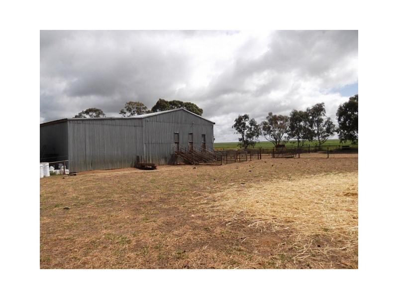 ‘Nalinga’ and ‘Springfield, Gabbin WA 6476