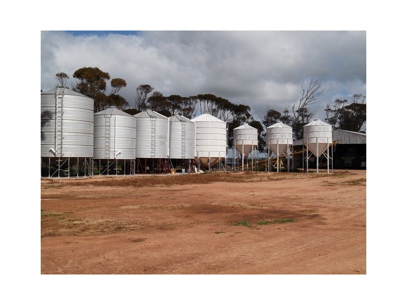 ‘Nalinga’ and ‘Springfield, Gabbin WA 6476