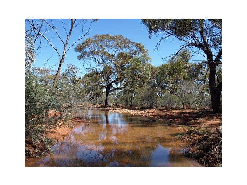 Pullagaroo Station, Paynes Find WA 6612