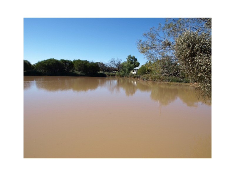 Pullagaroo Station, Paynes Find WA 6612