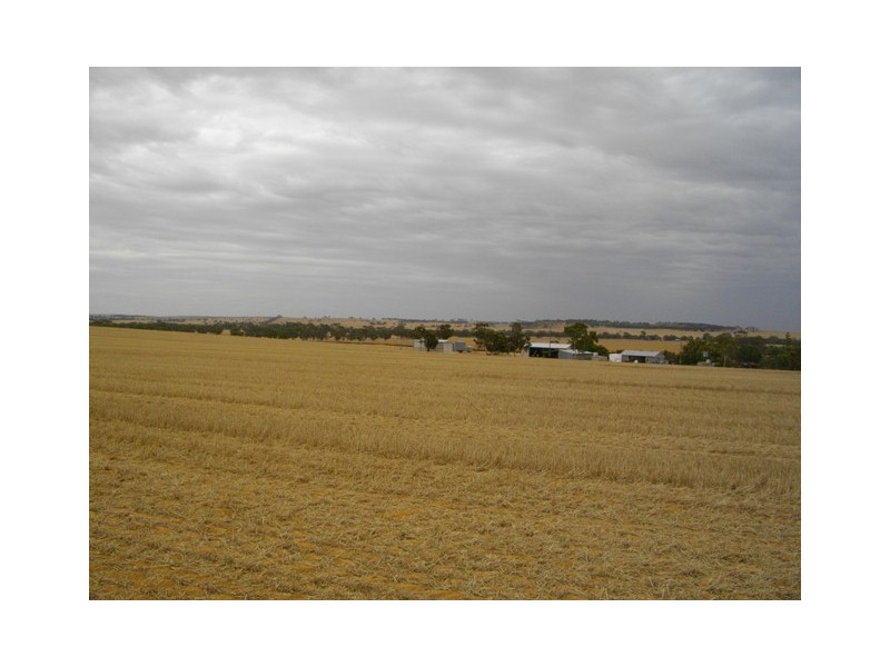 ‘Glenavon  Farm’, Brookton WA 6306