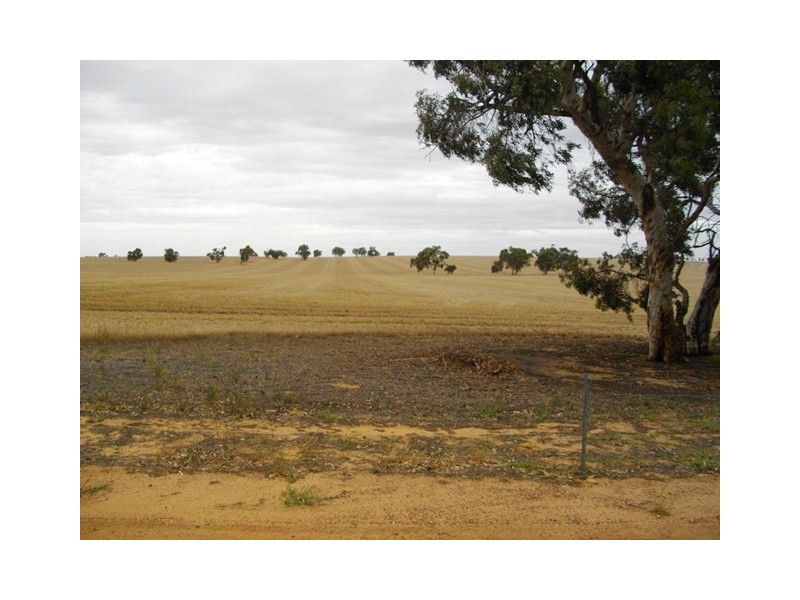‘Glenavon  Farm’, Brookton WA 6306