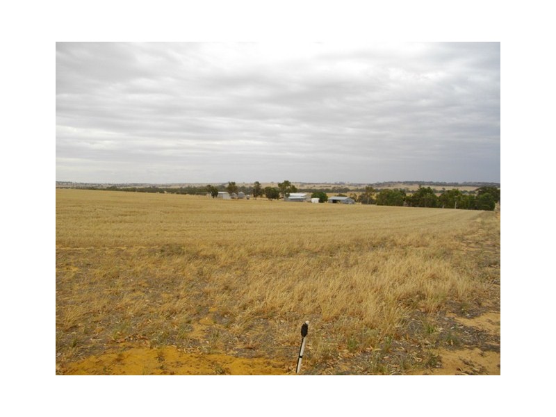 ‘Glenavon  Farm’, Brookton WA 6306