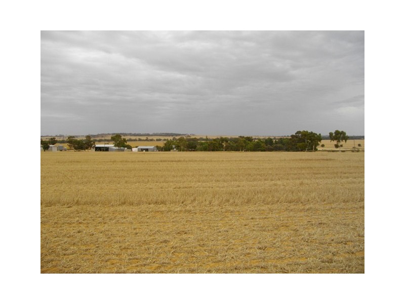 ‘Glenavon  Farm’, Brookton WA 6306