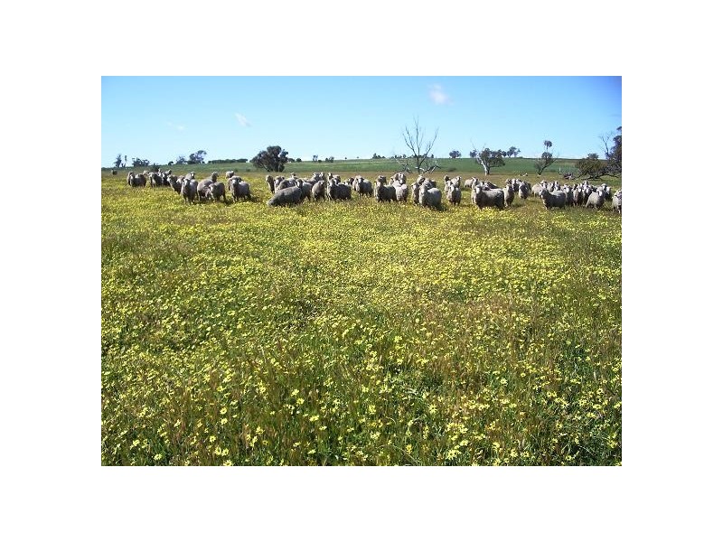 Cnr Greenhills South and Northbourne Roads, Beverley WA 6304