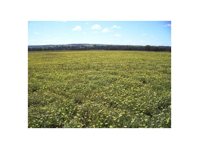 Cnr Greenhills South and Northbourne Roads, Beverley WA 6304