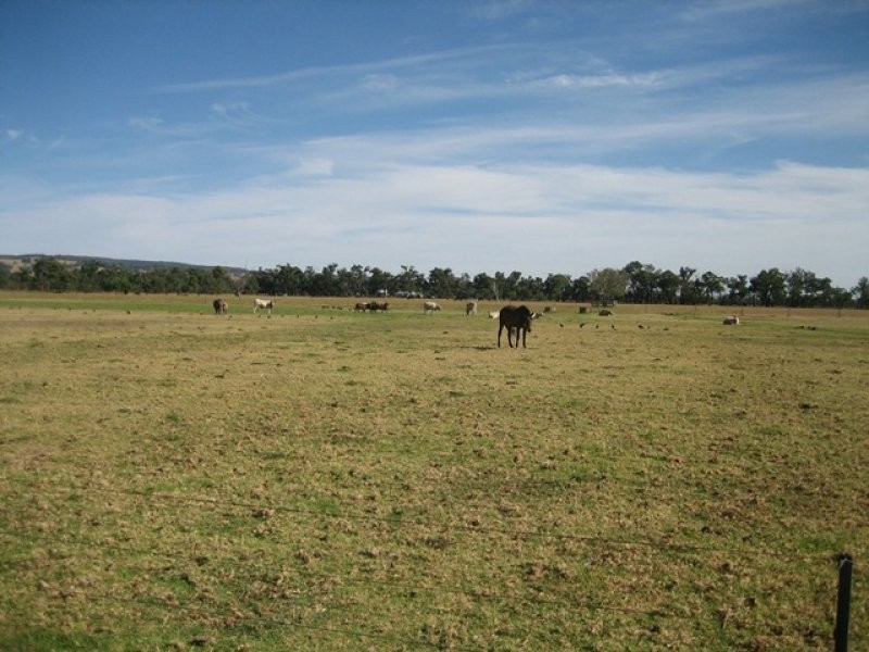 118 Homebush Road, Yarloop WA 6218