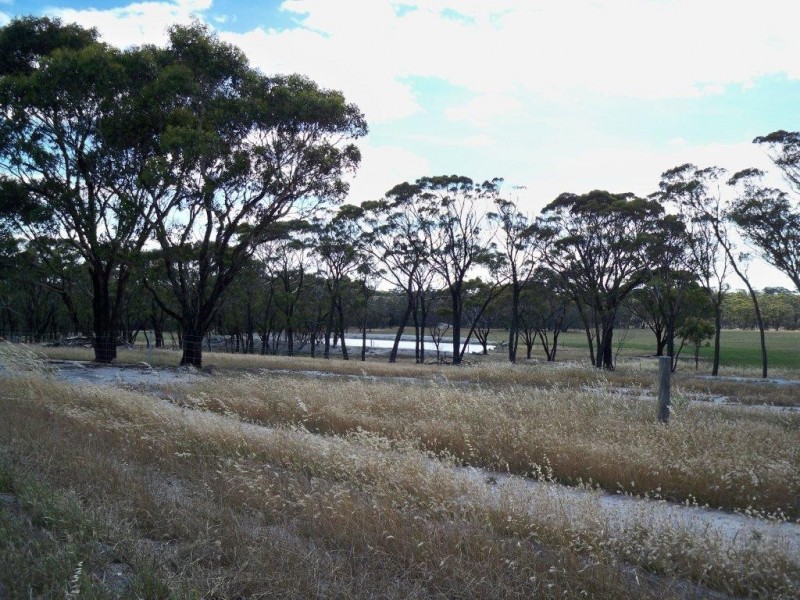 ‘Y Wurrie’ 1582 Stock Road, Jerramungup WA 6337