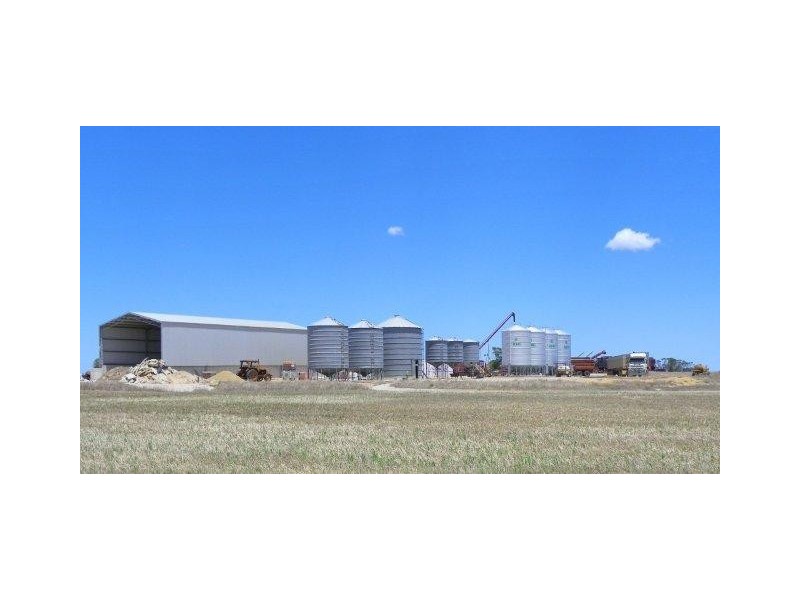 ‘Kinta’ Inc. ‘Moonies’, Borden WA 6338