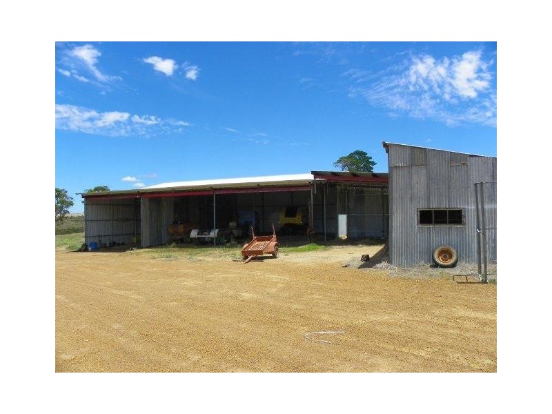 ‘Kinta’ Inc. ‘Moonies’, Borden WA 6338