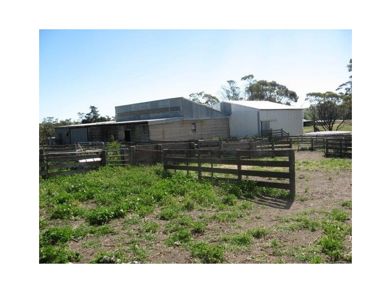 ‘Kyeema’ 1353 Stock Road, Needilup WA 6336