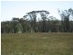 ‘Kyeema’ 1353 Stock Road, Needilup WA 6336