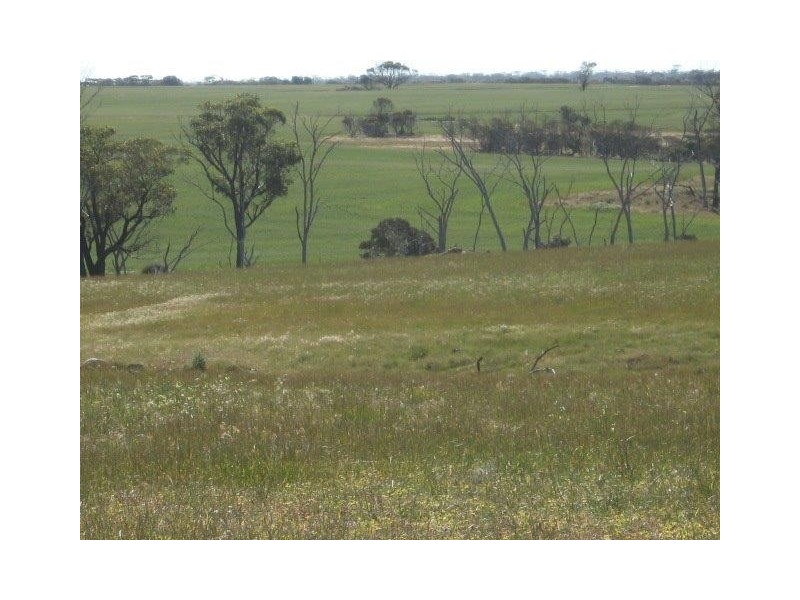‘Kyeema’ 1353 Stock Road, Needilup WA 6336