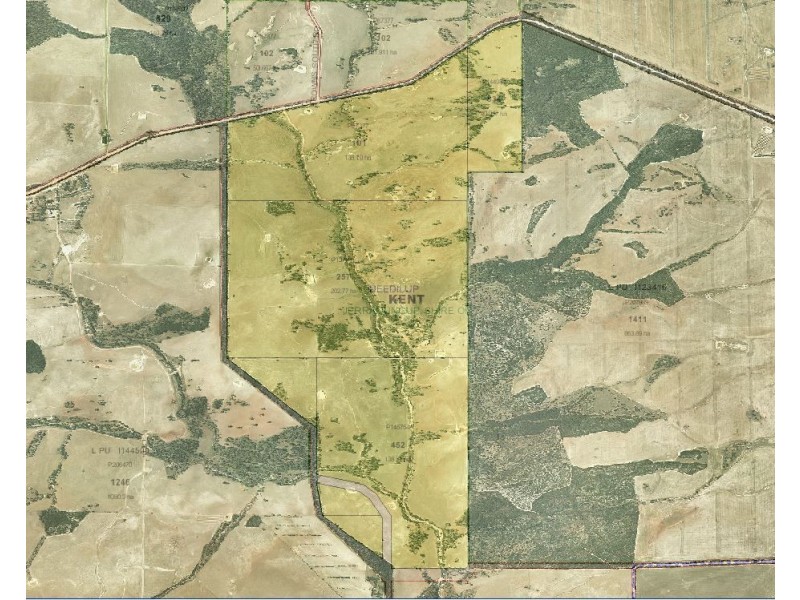 ‘Kyeema’ 1353 Stock Road, Needilup WA 6336