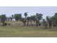 ‘Kyeema’ 1353 Stock Road, Needilup WA 6336