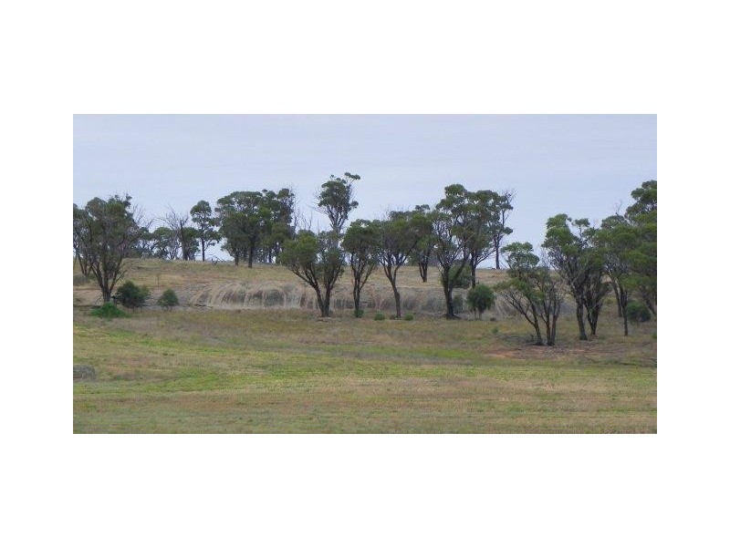 ‘Kyeema’ 1353 Stock Road, Needilup WA 6336
