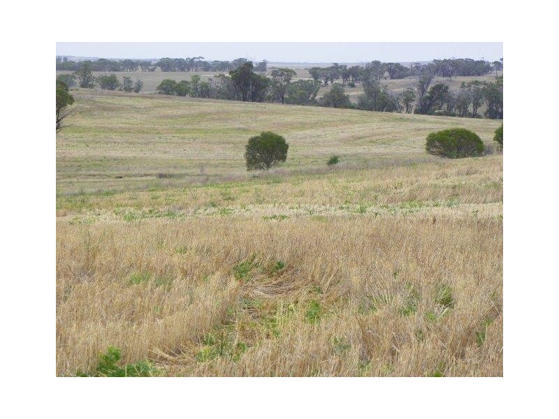 ‘Kyeema’ 1353 Stock Road, Needilup WA 6336