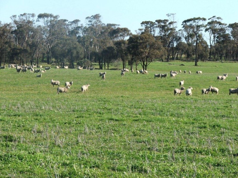 ‘Kyeema’ 1353 Stock Road, Needilup WA 6336