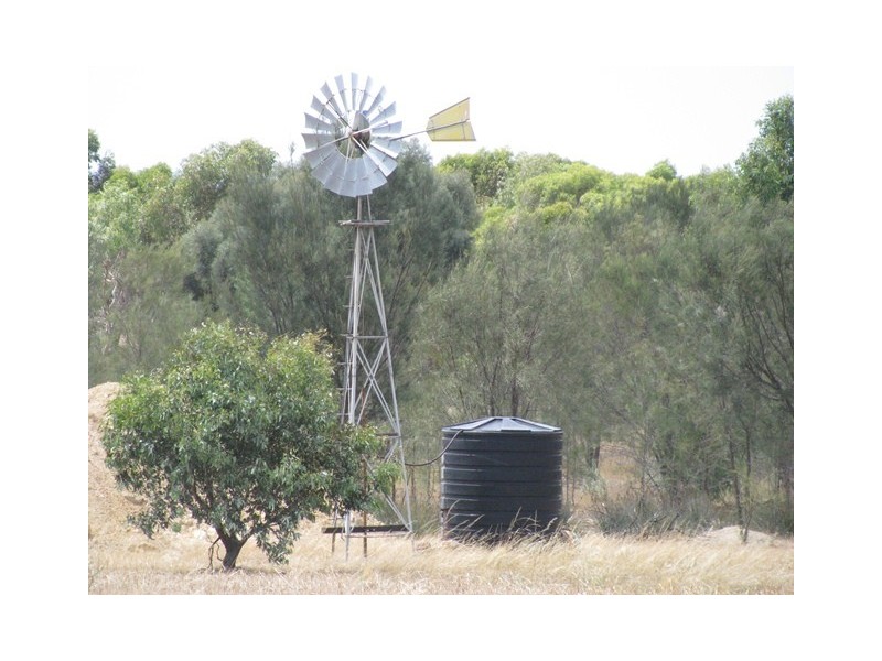 ‘Havelock’ 659 Airstrip Road, Moora WA 6510