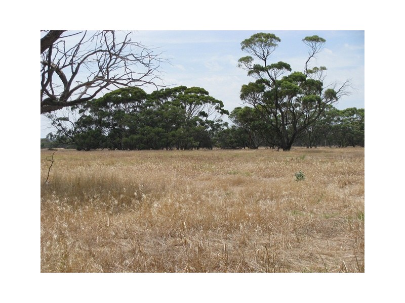 ‘Havelock’ 659 Airstrip Road, Moora WA 6510