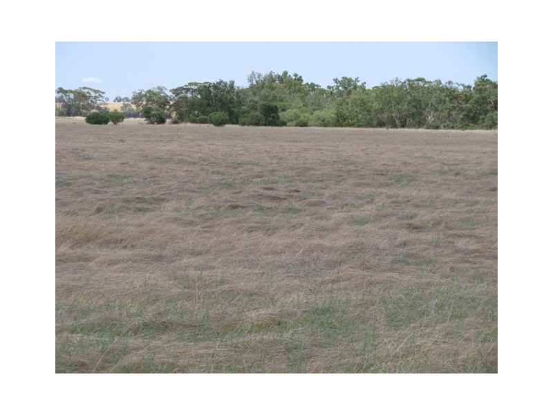 ‘Havelock’ 659 Airstrip Road, Moora WA 6510