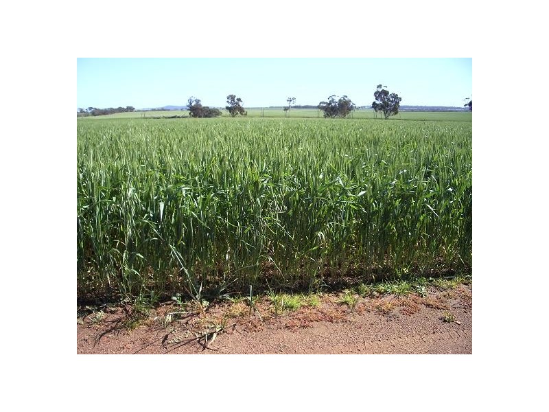 Part Greenhills South and Northbourne Roads, Beverley WA 6304