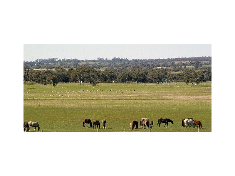 Cranbrook – Frankland Road, Cranbrook WA 6321