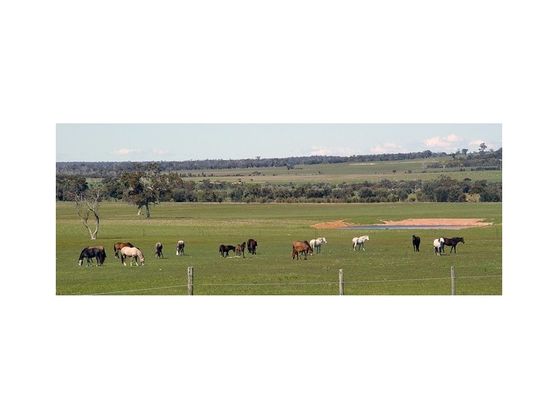 Cranbrook – Frankland Road, Cranbrook WA 6321