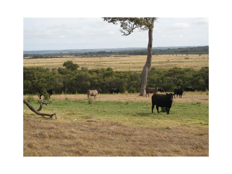 Lot 7 Piggot – Martin Road, Albany WA 6330