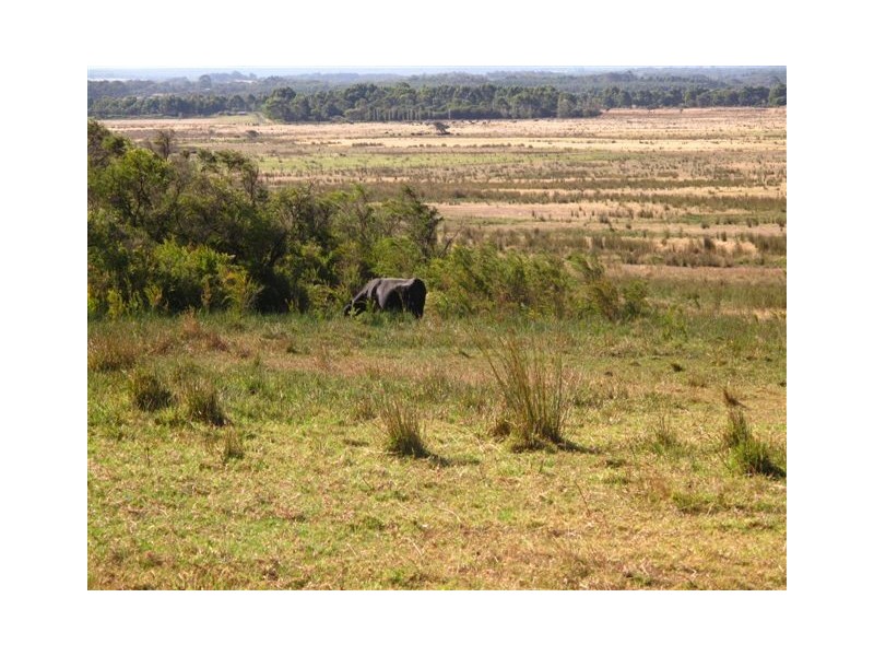 Lot 7 Piggot – Martin Road, Albany WA 6330