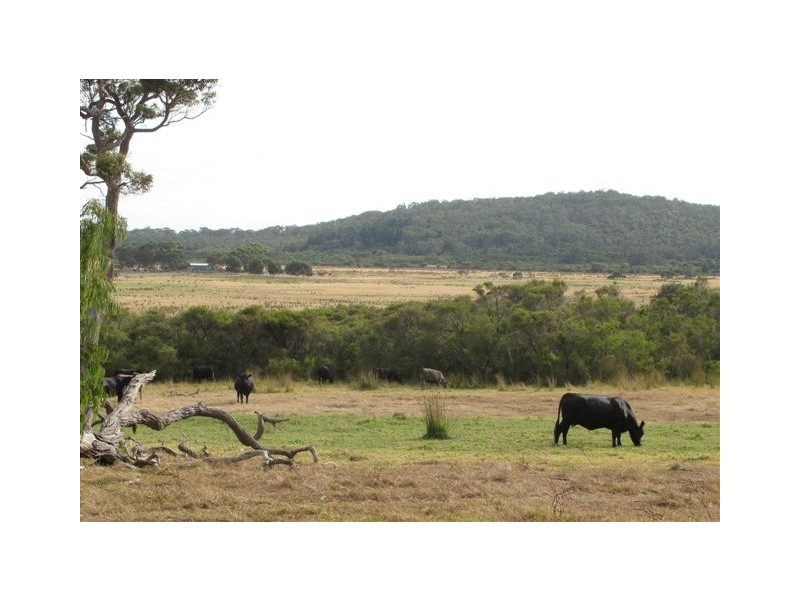 Lot 7 Piggot – Martin Road, Albany WA 6330