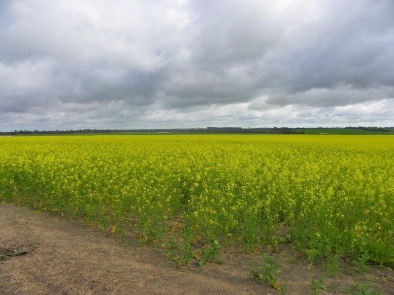 Lot 6267 Eastwood Road, Gnowangerup WA 6335