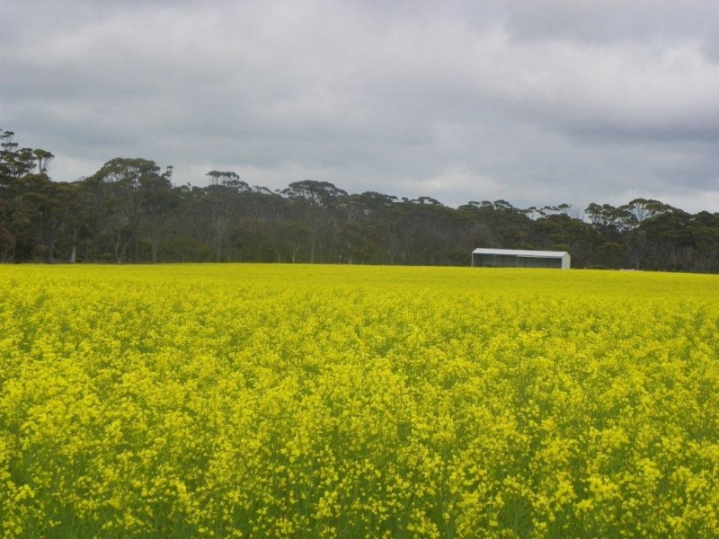 Lot 6267 Eastwood Road, Gnowangerup WA 6335