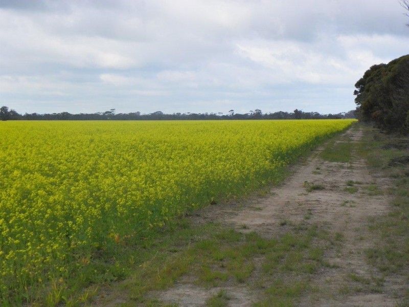 Lot 6267 Eastwood Road, Gnowangerup WA 6335