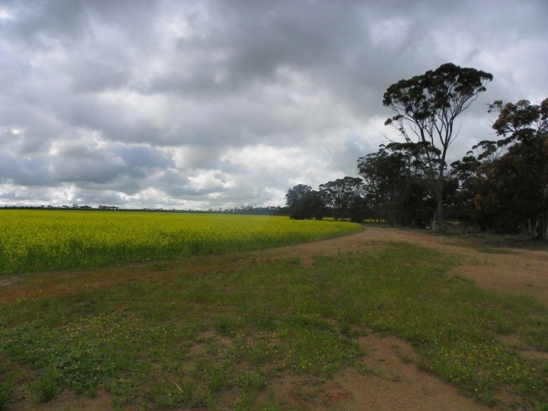Lot 6267 Eastwood Road, Gnowangerup WA 6335