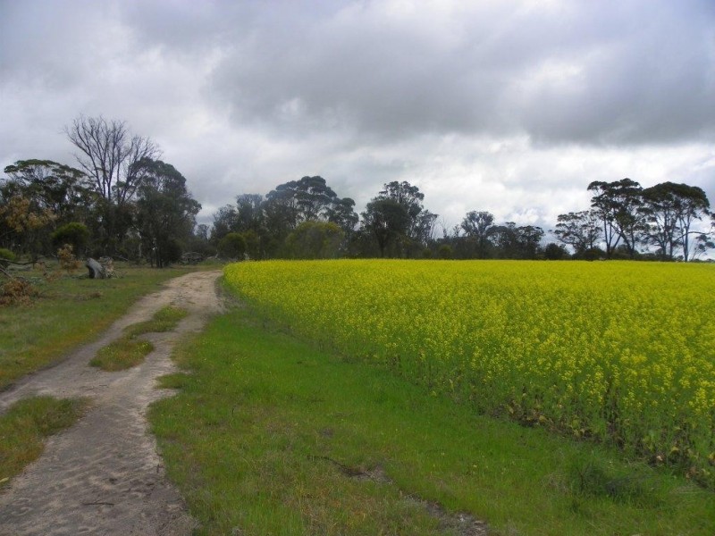 Lot 6267 Eastwood Road, Gnowangerup WA 6335